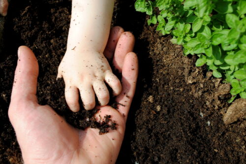 kid-parent-soil-in-hands