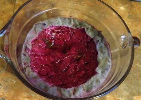 Simple-Sauerkraut-Step-10