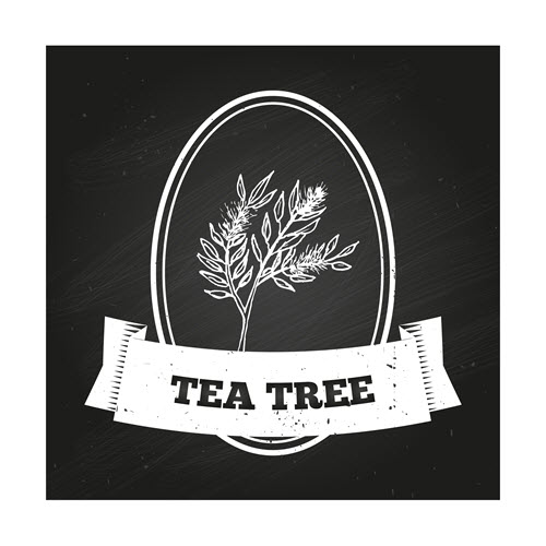 tea-tree-7-uses-for-kids-skin