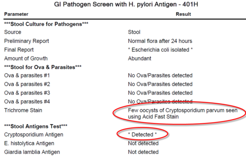 Example-401H-Stool-Results