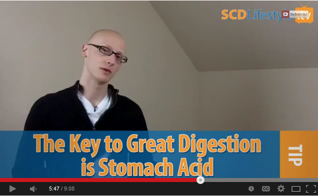 Screenshot of Jordan talking about stomach acid (the key to digestion)