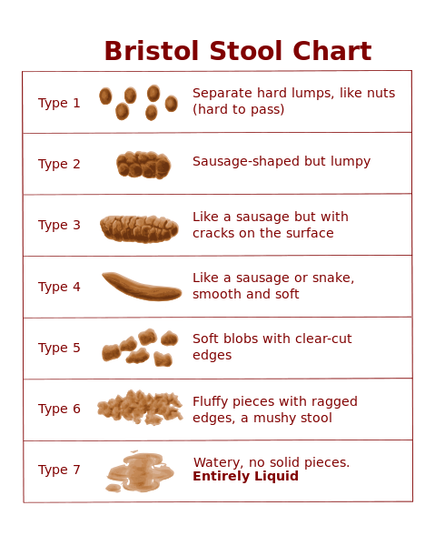 Bristol Stool Chart